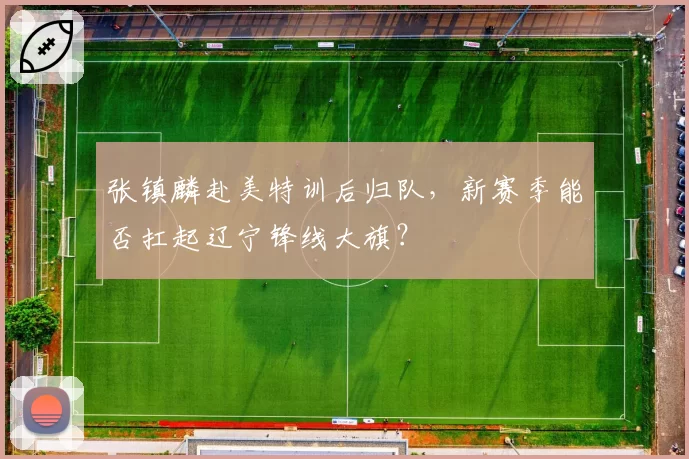 张镇麟赴美特训后归队,新赛季能否扛起辽宁锋线大旗?