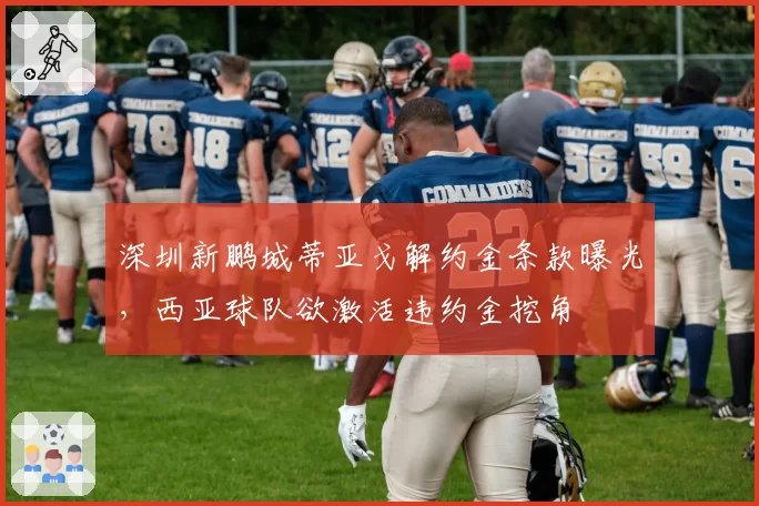 深圳新鹏城蒂亚戈解约金条款曝光,西亚球队欲激活违约金挖角