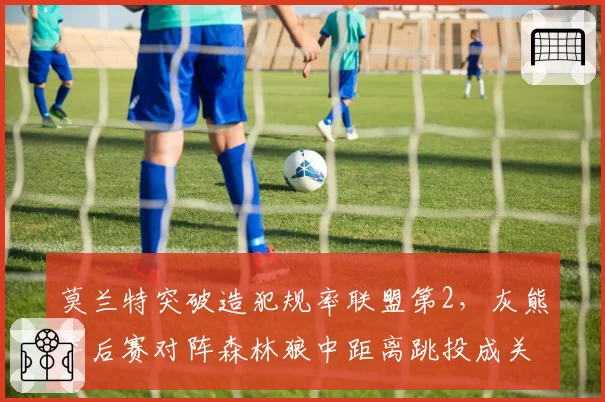 莫兰特突破造犯规率联盟第2，灰熊季后赛对阵森林狼中距离跳投成关键