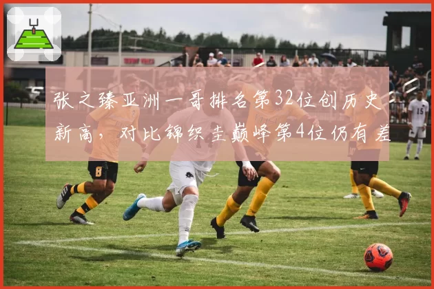 张之臻亚洲一哥排名第32位创历史新高，对比锦织圭巅峰第4位仍有差距