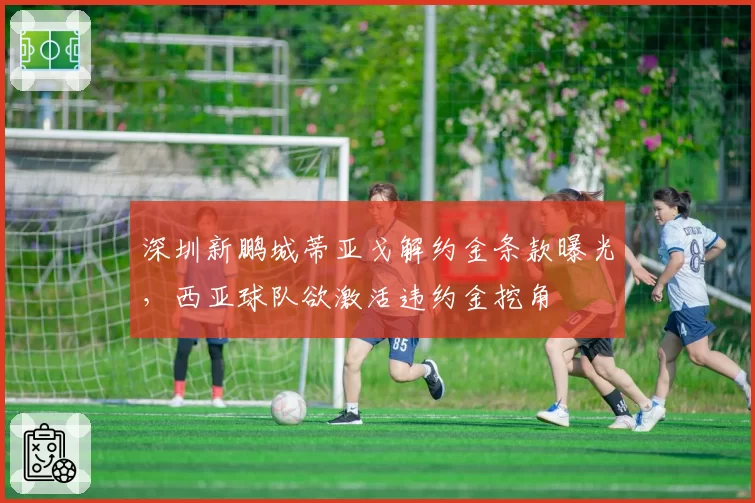 深圳新鹏城蒂亚戈解约金条款曝光，西亚球队欲激活违约金挖角