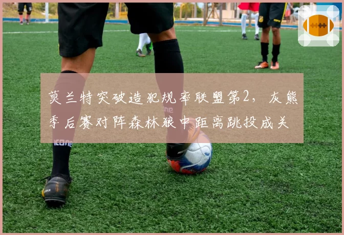 莫兰特突破造犯规率联盟第2,灰熊季后赛对阵森林狼中距离跳投成关键