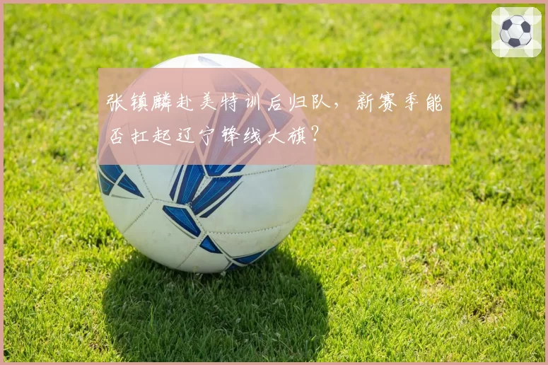 张镇麟赴美特训后归队，新赛季能否扛起辽宁锋线大旗？