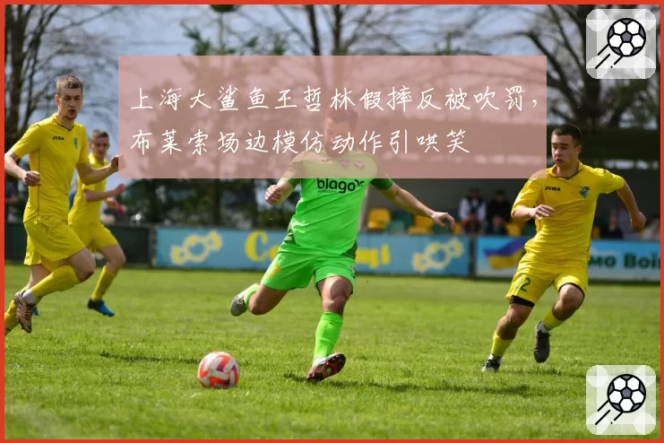 上海大鲨鱼王哲林假摔反被吹罚，布莱索场边模仿动作引哄笑