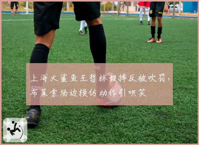 上海大鲨鱼王哲林假摔反被吹罚，布莱索场边模仿动作引哄笑